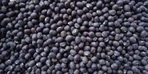 Black Matpe Beans