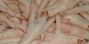 Frozen Chicken Feet