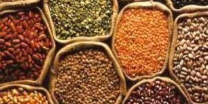 Indian Pulses