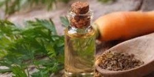 Carrot Seed Oil