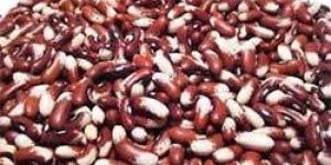 Red Kidney Beans