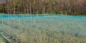 Overhead Crop Netting