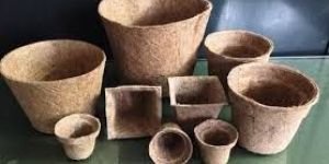 Coir Baskets
