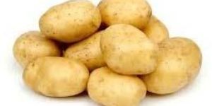 Fresh Potato