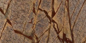 Designer Rainforest Brown Marble Stone