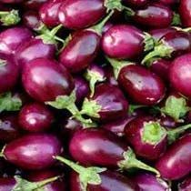 Fresh Brinjal
