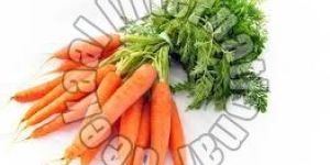 Fresh Carrot