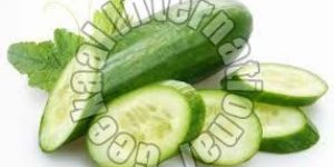 Fresh Cucumber