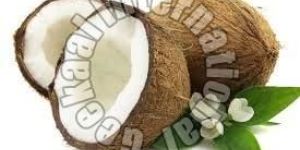 Fresh Coconut