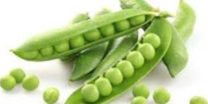Fresh Green Peas