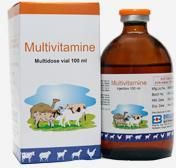 Vitamin B Complex Injection