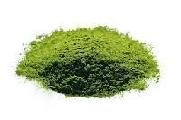 Wheat Grass Powder