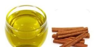 Cassia Torea Seeds Oil