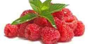 Fresh Raspberry