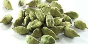 Green Cardamom Pods