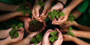 Our Social Activities Service