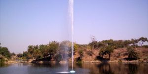 Floating Fountain Designing and Installation