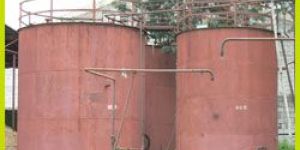 SOLVENT EXTRACTED NEEM OIL