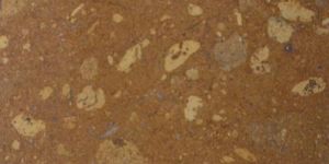 Star Gold Indian Marble Stone