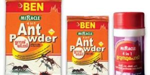 Ant Powder