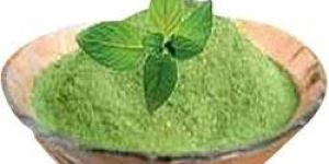 Green Leaf Ingredients