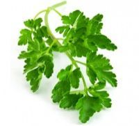 Parsley Leaves