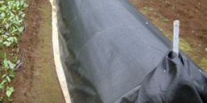 Ground Cover Membrane