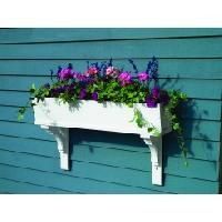 Window Boxes