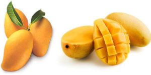 Fresh Mango