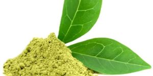 Green Tea Extract