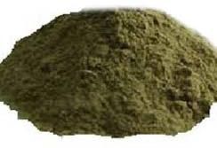 Gymnema Sylvestre Extract