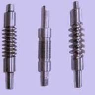 Worm Gear