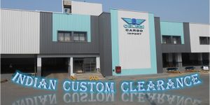 Custom Clearance Services