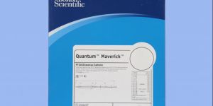 Quantum Maverick Balloon Catheter