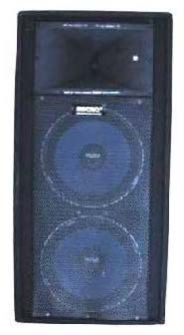 DJ Column Speakers
