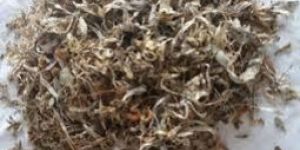 Bhel Kutta Mix Dry Fish