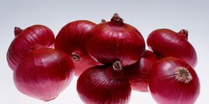 Fresh Red Onion