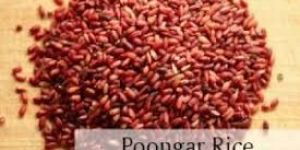 Poongar Rice