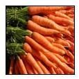 Fresh Carrot