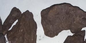Manganese Lumps