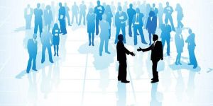 Business Advice Services