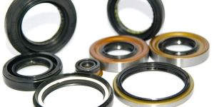 Oil Seals
