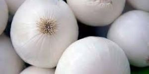 Fresh Onion