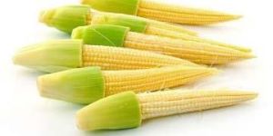Preserved Baby Corn