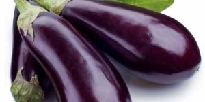 Fresh Brinjal