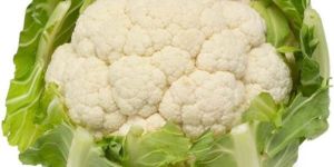 Fresh Cauliflower