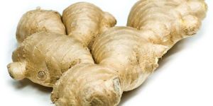 Fresh Ginger