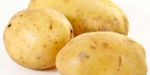 Fresh Potato