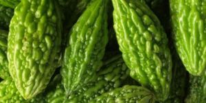 Fresh Bitter Gourd