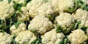 Fresh Cauliflower